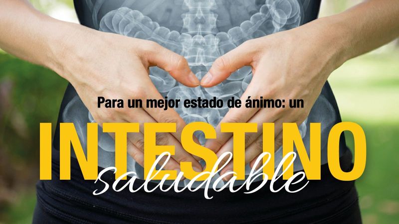 Para un mejor estado de ánimo:  un intestino saludable