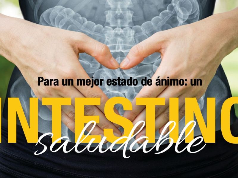 Para un mejor estado de ánimo:  un intestino saludable