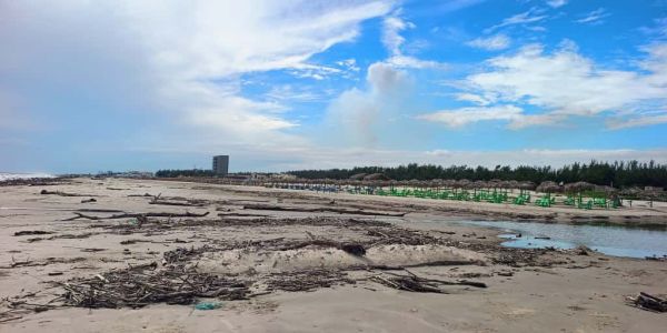 Playa Miramar amaneció cubierta de palizada y basura arrastrada por el río Pánuco