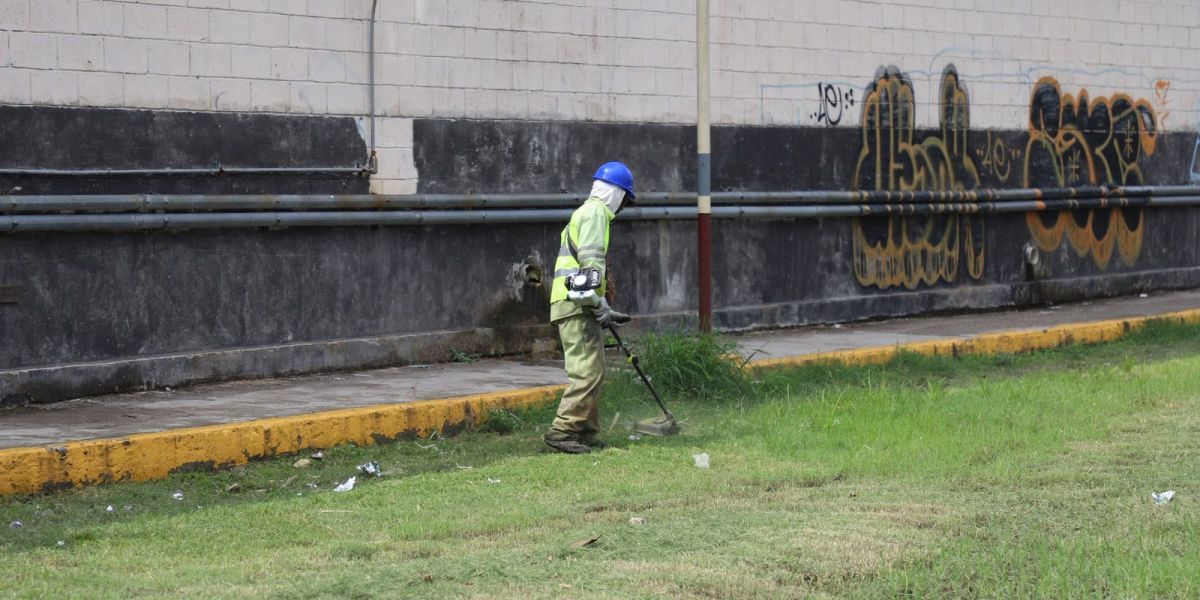 Refuerzan acciones contra el dengue en Altamira ante riesgo de incremento de casos
