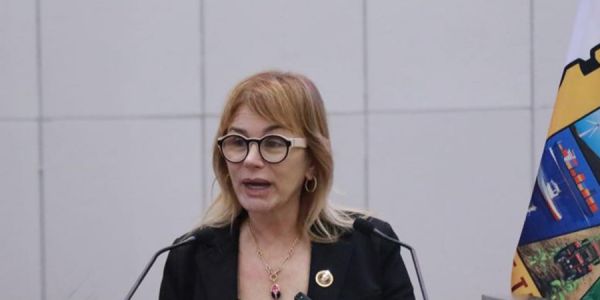 Impulsa Magaly Deandar castigos por despojo de viviendas