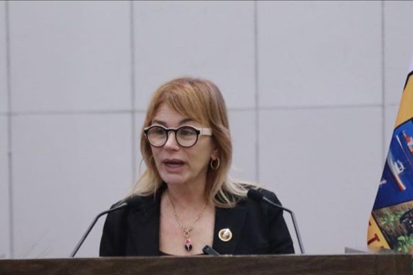 Impulsa Magaly Deandar castigos por despojo de viviendas