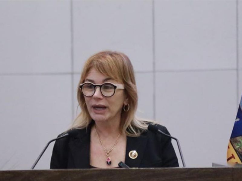 Impulsa Magaly Deandar castigos por despojo de viviendas