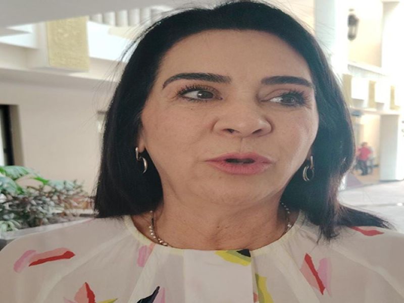 Mónica Villarreal rechaza que se culpe al pasado por los socavones en Tampico