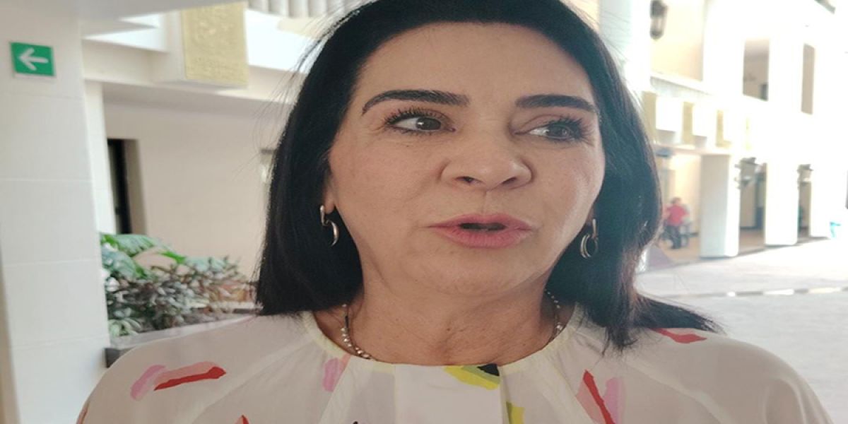 Mónica Villarreal rechaza que se culpe al pasado por los socavones en Tampico