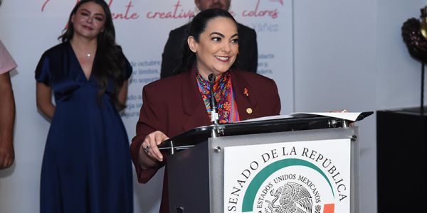 Tamaulipas estado con más entregas de vivienda para el bienestar en 2025: Olga Sosa