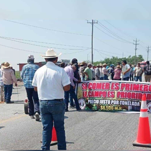 Bloqueo sorguero dejó pérdidas por 500 mdp