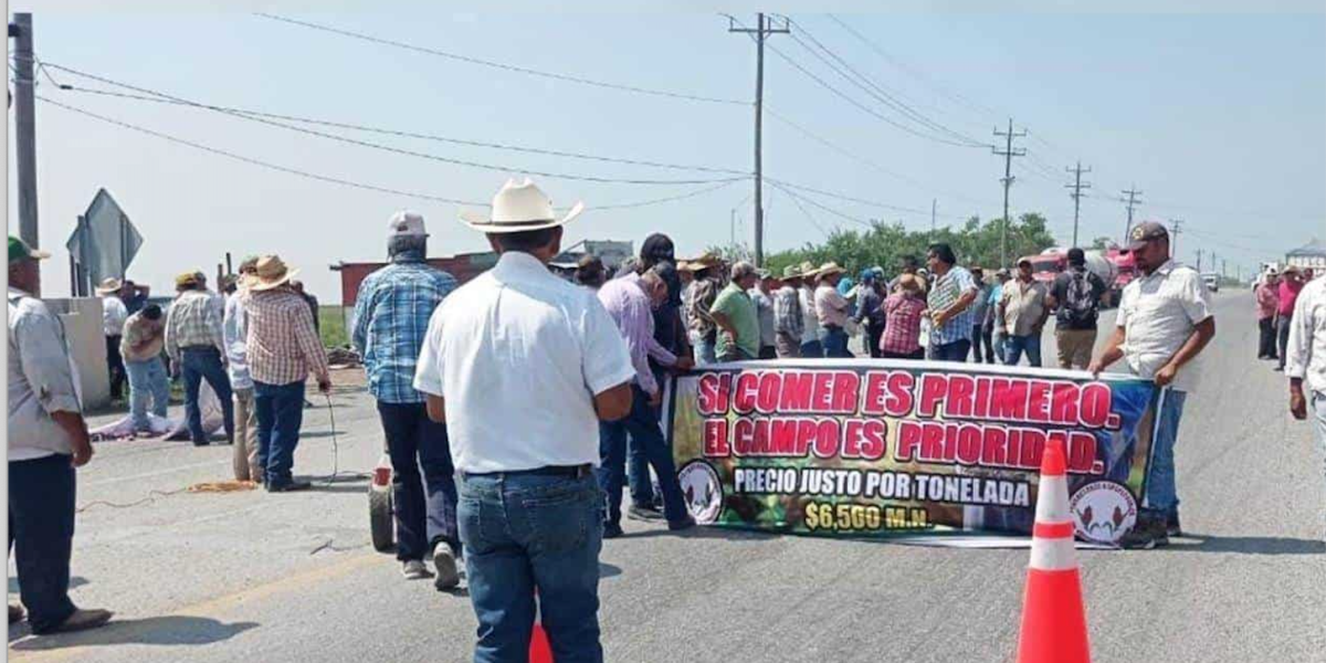 Bloqueo sorguero dejó pérdidas por 500 mdp