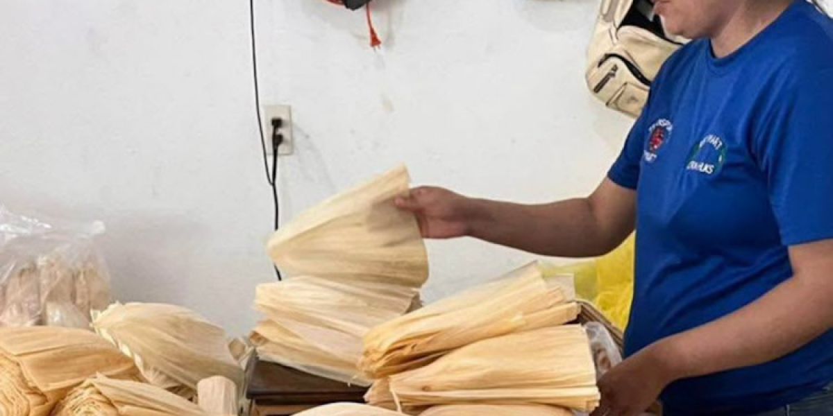 Se estabiliza el precio de la hoja de maíz al cierre de año