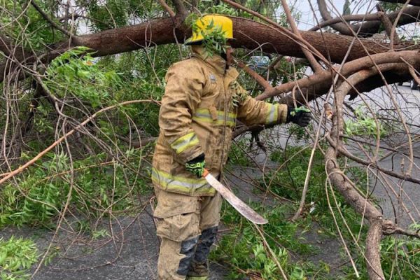 Atiende Municipio reportes ciudadanos por afectación de vendaval