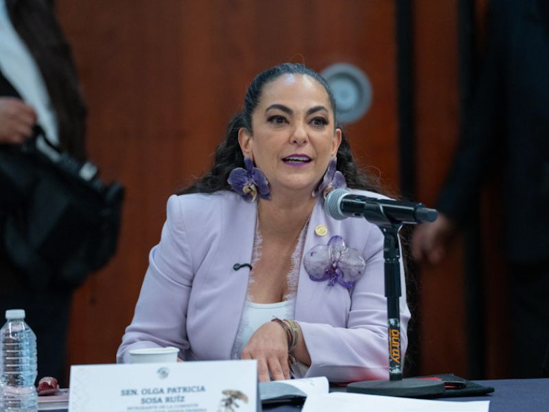 Senado aprueba minuta para fortalecer la consolidación del nuevo Poder Judicial