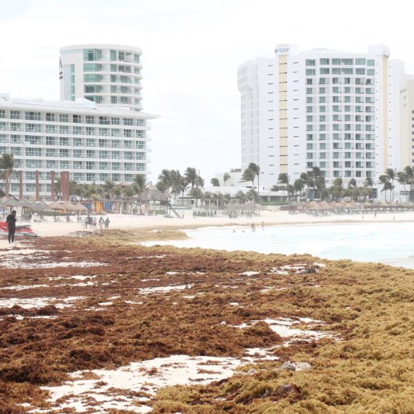 Pegan crimen y sargazo a turismo en Quintana Roo