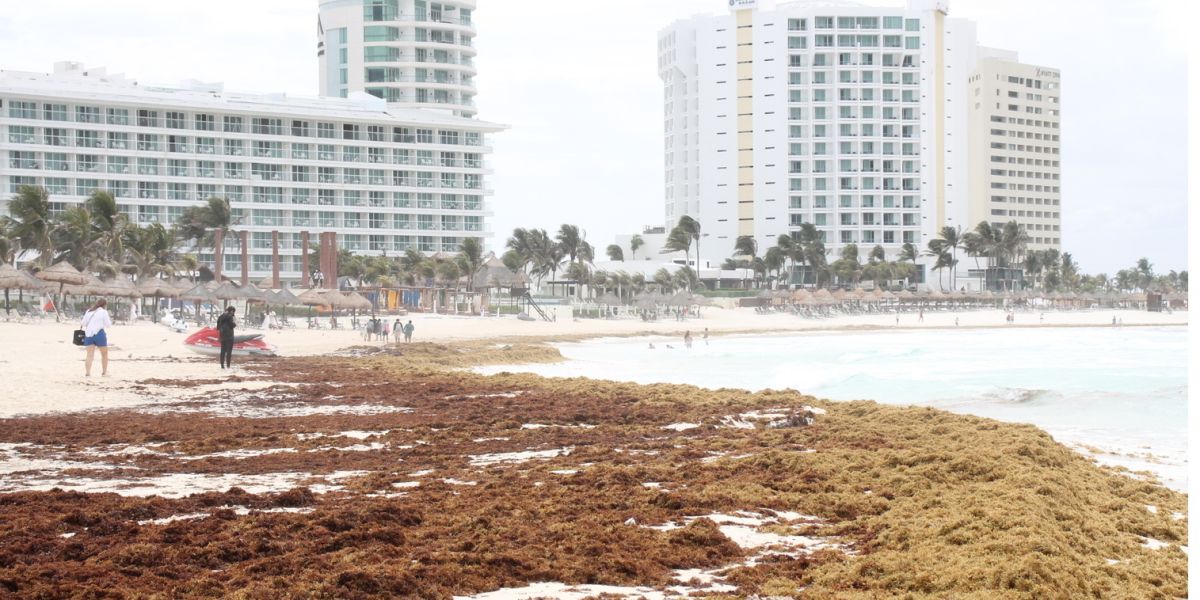 Pegan crimen y sargazo a turismo en Quintana Roo