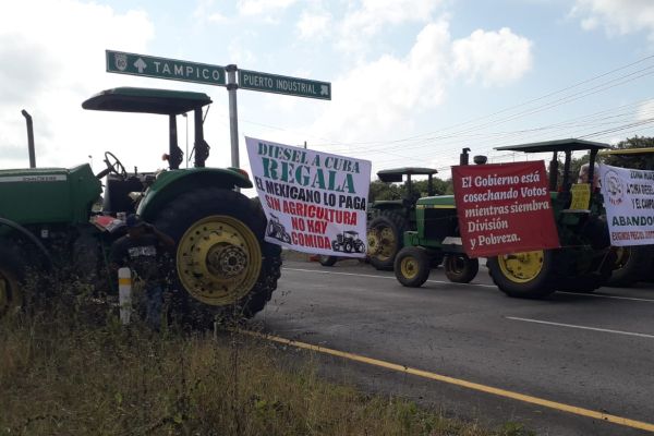 Campesinos alzan la voz mientras el campo se hunde: México importa granos, pero ignora a quienes los producen