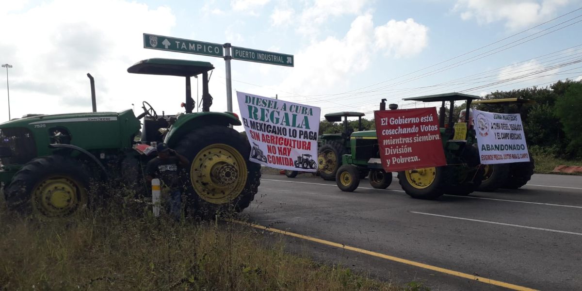 Campesinos alzan la voz mientras el campo se hunde: México importa granos, pero ignora a quienes los producen