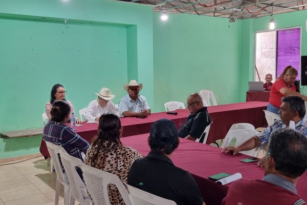 Productores de Altamira exigen agroindustrias para evitar pérdidas en el campo