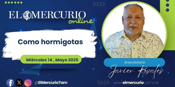 Como hormigotas