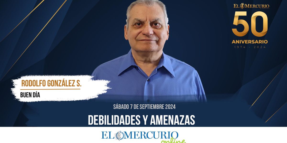 Debilidades y Amenazas