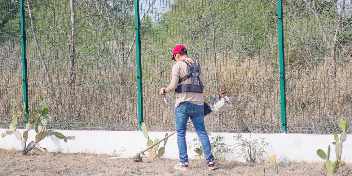Mejora programa “Impulsando tu Bienestar”, calidad de vida de las y los tamaulipecos