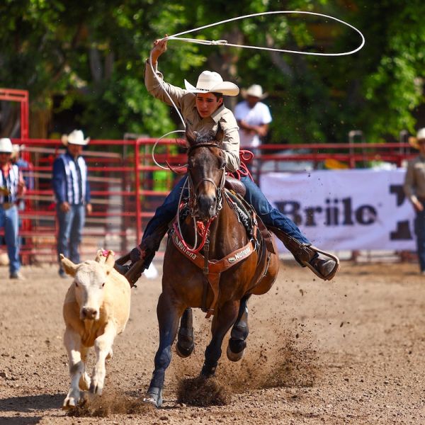 En la eliminatoria estatal, Habra Rodeo