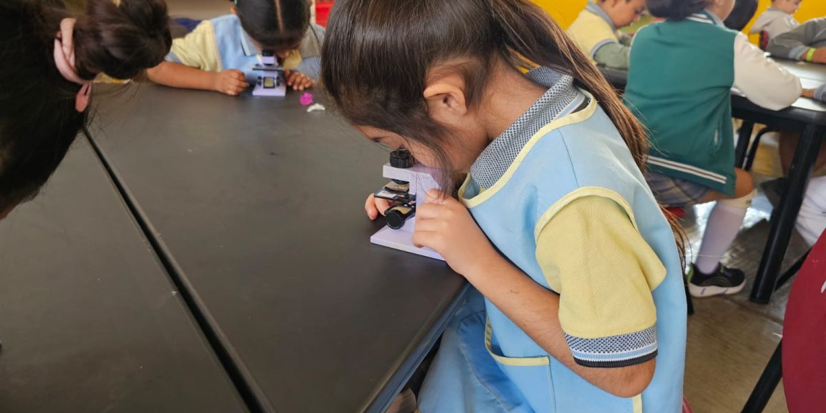 Celebraron escuelas el Día Internacional de la Mujer y la Niña en la Ciencia