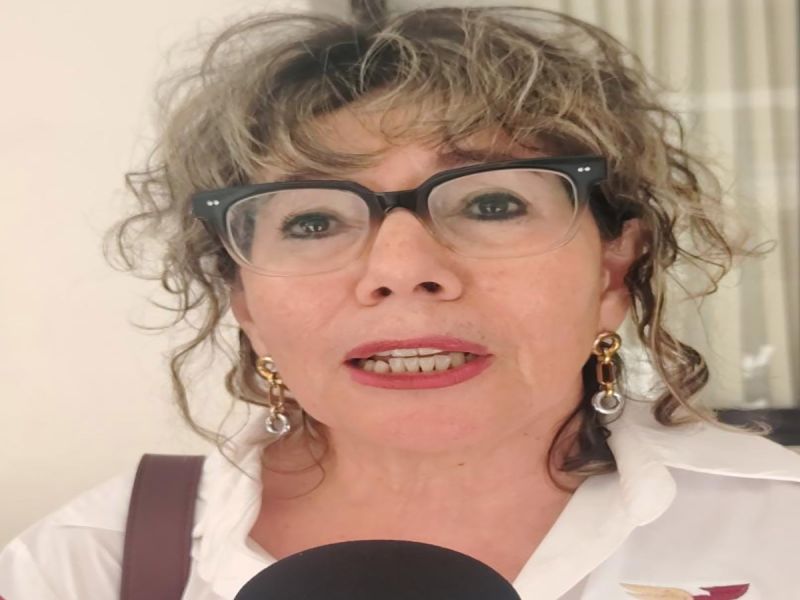 Entrega de despensas y apoyos sociales , son dentro del marco legal :SEBIEN