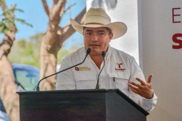 Lidera Tamaulipas la producción nacional de carbón vegetal