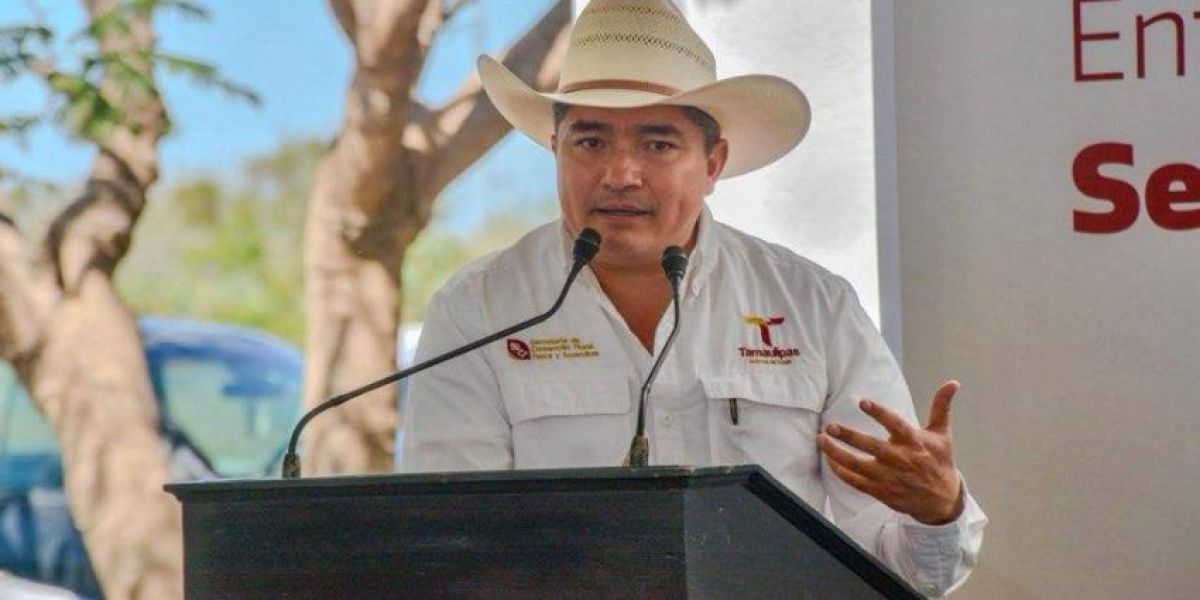 Lidera Tamaulipas la producción nacional de carbón vegetal