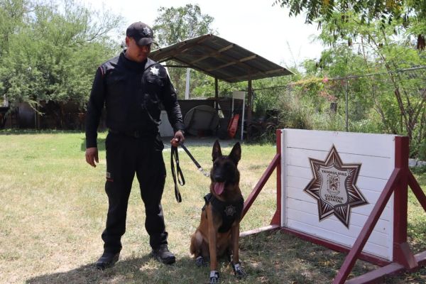 Binomios K-9 de la Guardia Estatal fortalecen la seguridad y la cercanía con la ciudadanía