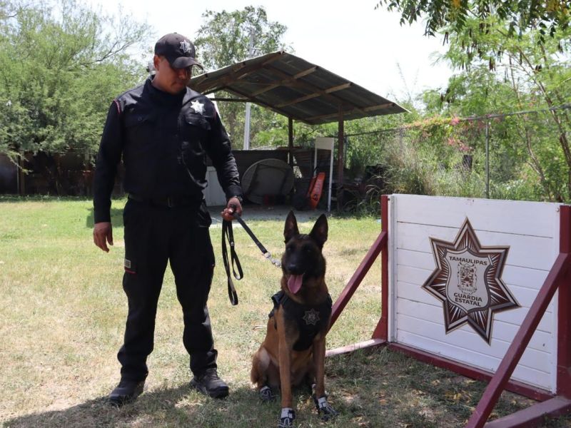Binomios K-9 de la Guardia Estatal fortalecen la seguridad y la cercanía con la ciudadanía
