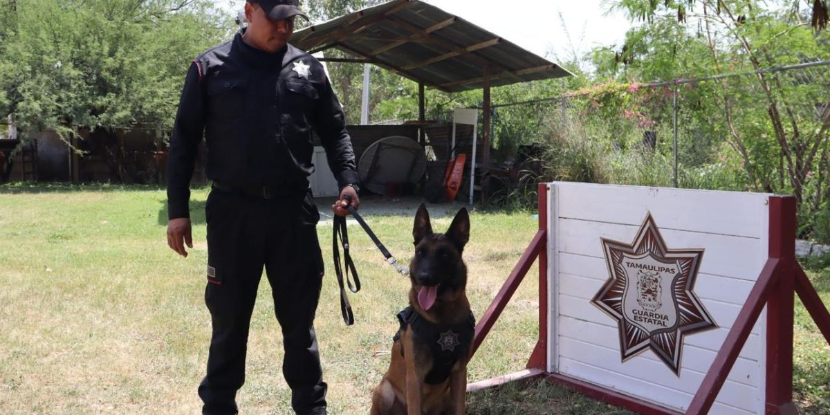 Binomios K-9 de la Guardia Estatal fortalecen la seguridad y la cercanía con la ciudadanía