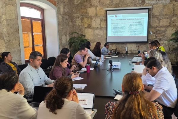 Establece Salud respuesta sanitaria integral en Tamaulipas por Mundial 2026