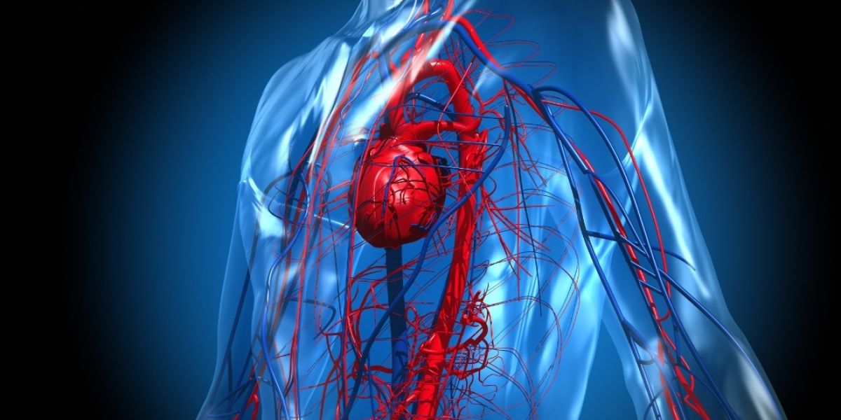 Insuficiencia arterial crónica: así se manifiesta en el cuerpo