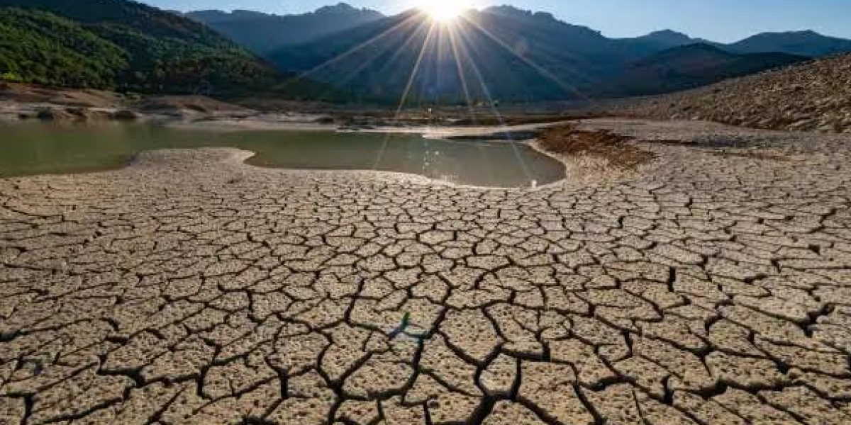 Vive Estado peor sequía  en ultimos 10 años: SMN