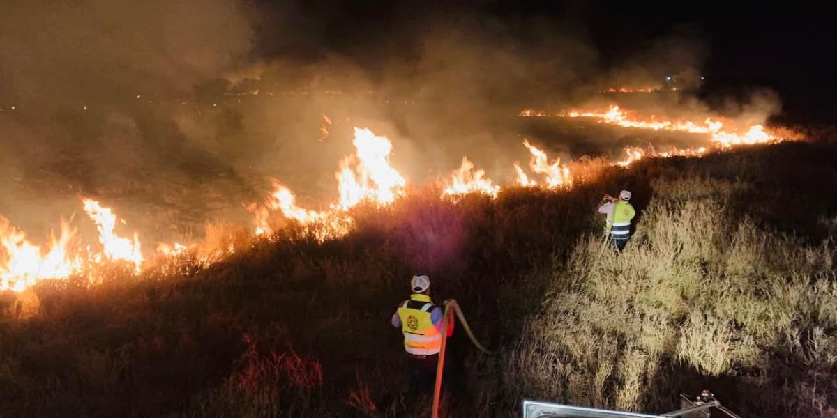 Fiscalía de Tamaulipas ya investiga posibles incendios forestales provocados