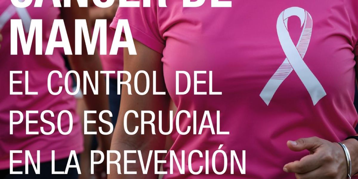 Cáncer de mama, múltiples factores