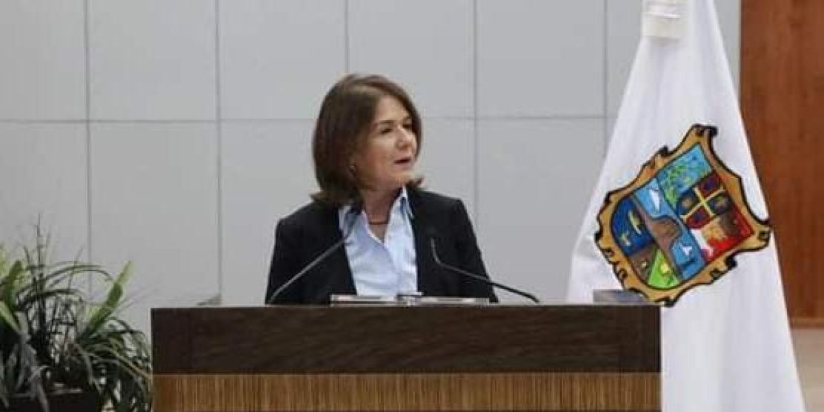 Diputada Panista propone sesionar a distancia mientras ciudadanos enfrentan clima e inseguridad para trabajar