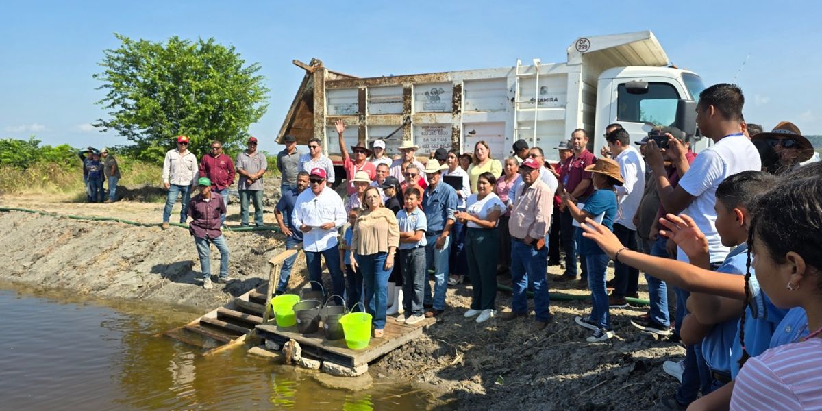 Siembran 500 mil crías de alevines