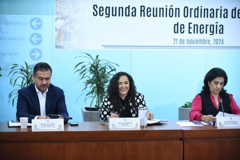 Es Tamaulipas palanca de desarrollo en materia energética: Olga Sosa Ruíz