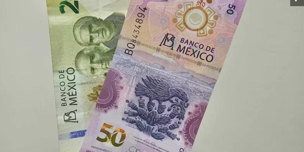 Alerta IP: Acechan al Estado billetes falsos