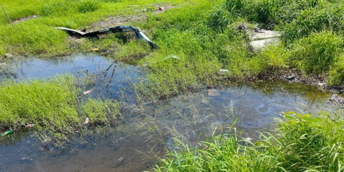 Tamaulipas atiende 100 casos anuales de daños ambientales