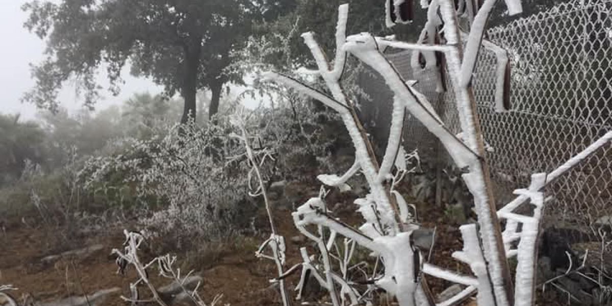 Pronostican caída de agua nieve en las zonas serranas de Tamaulipas