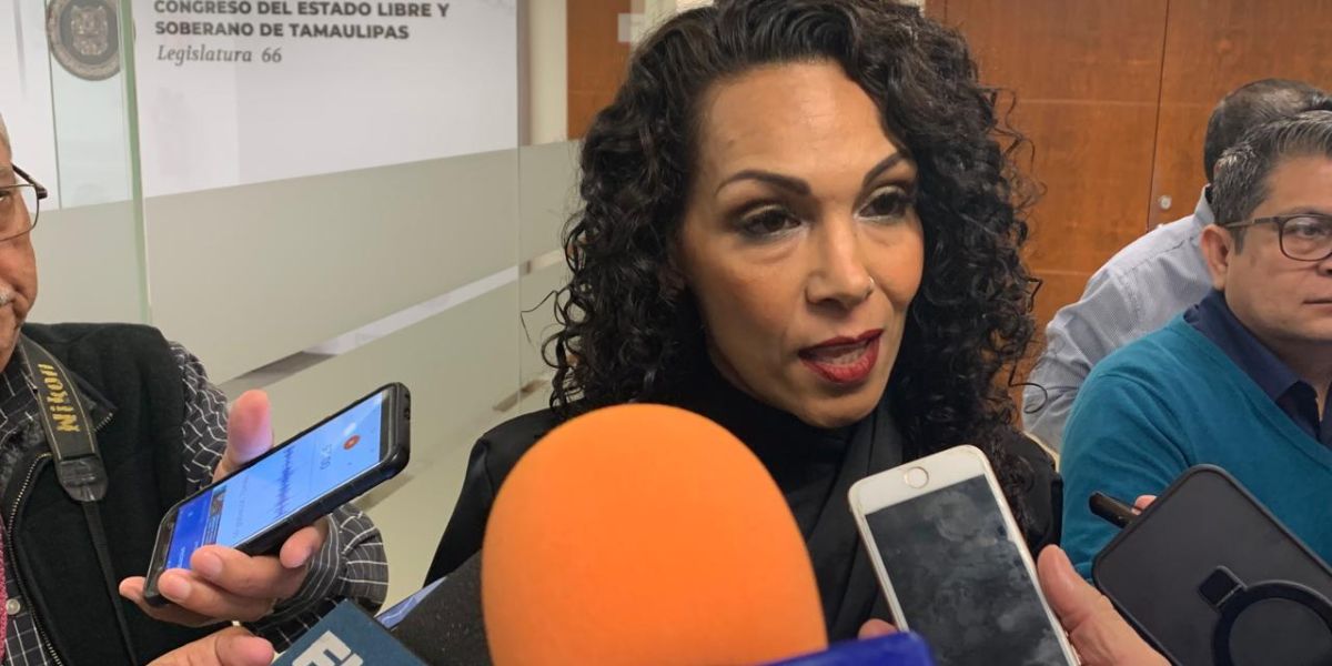 IMSS – Bienestar requiere tiempo para funcionar de forma eficiente; Diputada