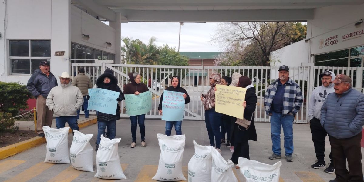 Incumple Segalmex, reclaman productores de Abasolo y San Fernando