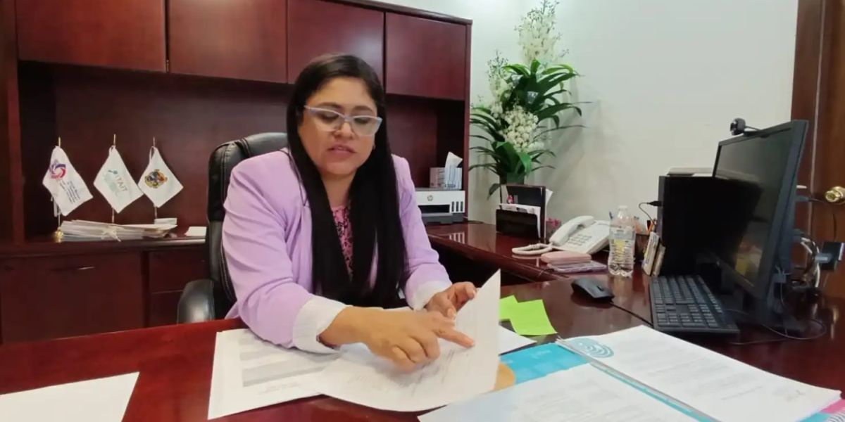 “Tumbar” al ITAIT dejará libres 21 millones de pesos al Estado