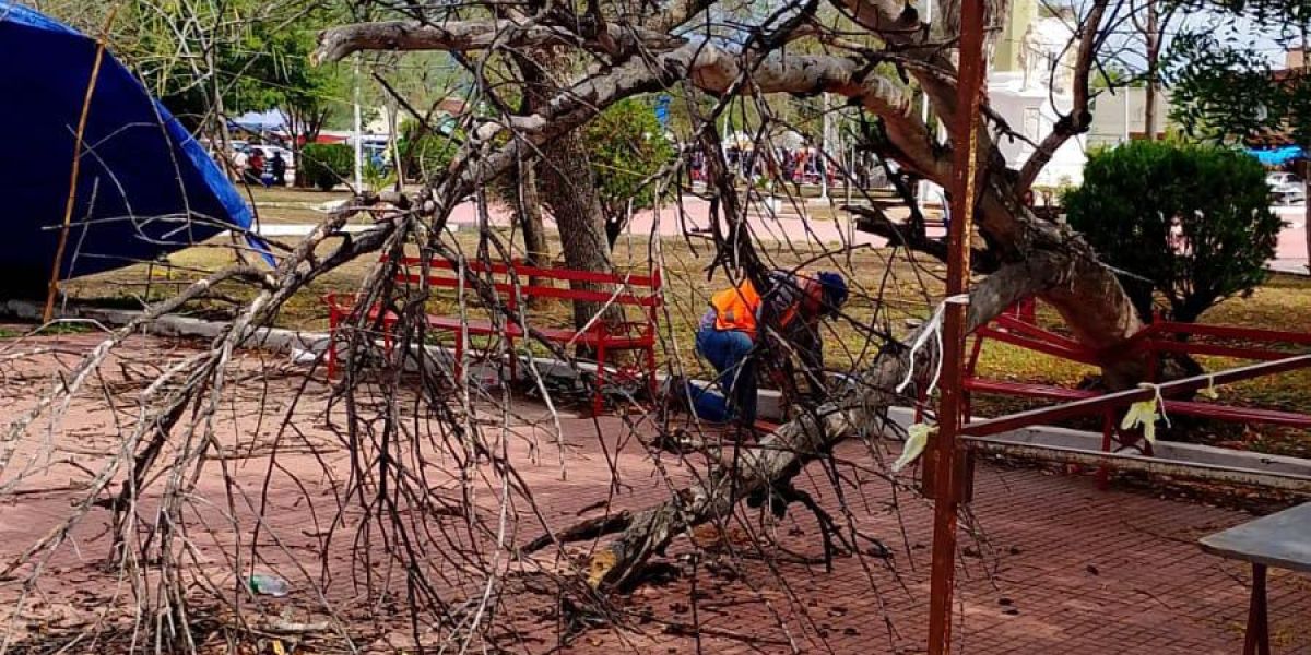 Implementa municipio operativo de limpieza en drenes
