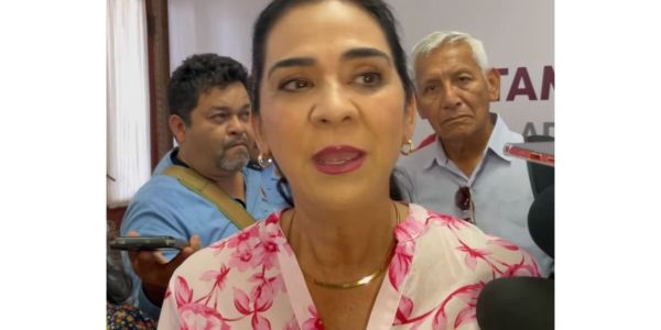 Pasar por el viaducto Tampico  tendrá costo: Mónica Villarreal