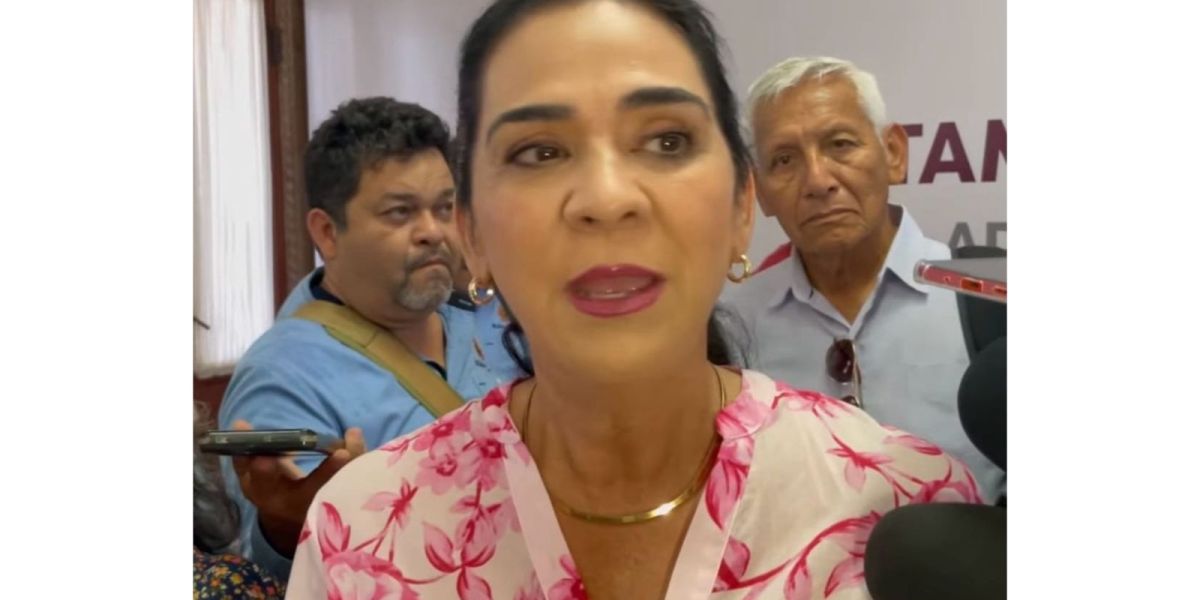 Pasar por el viaducto Tampico  tendrá costo: Mónica Villarreal