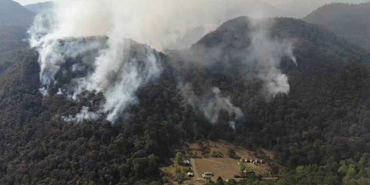 Incendio forestal amenaza la reserva El Cielo en Tamaulipas