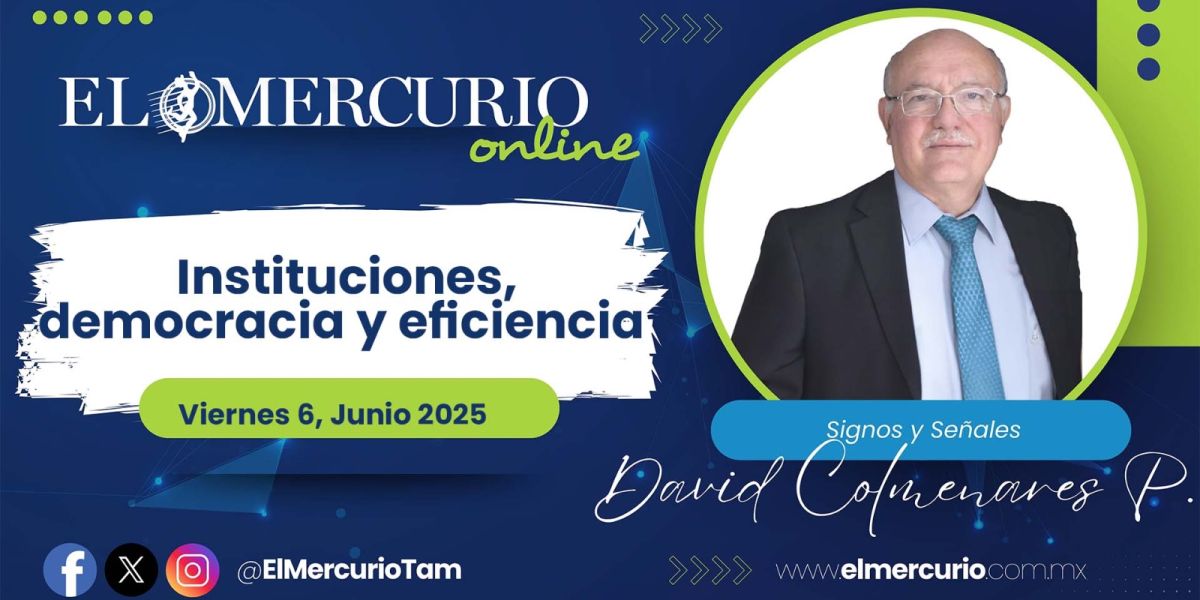 Instituciones, democracia y eficiencia